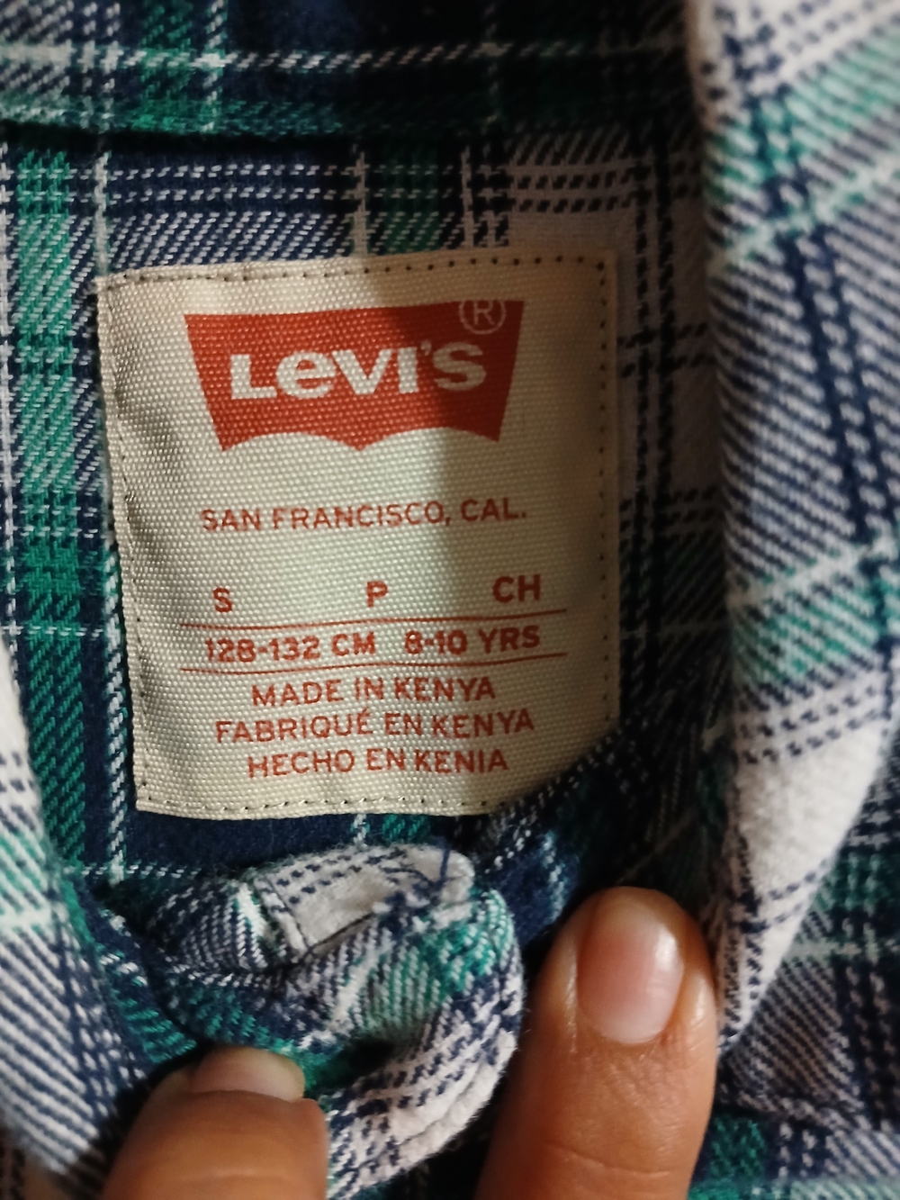 Levi's Green and Blue Plaid Button-Down Shirt